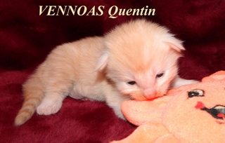 Quentin 1  210820151